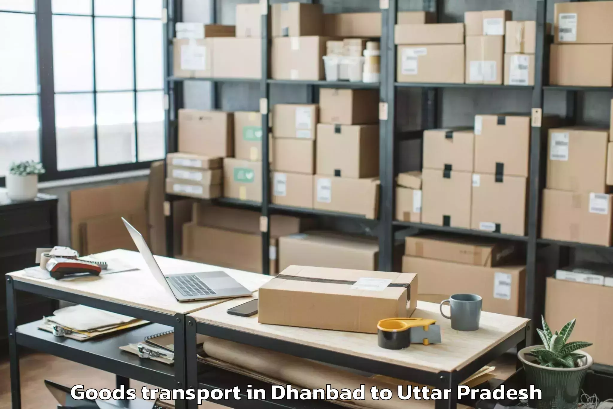 Professional Dhanbad to Kulpahar Goods Transport